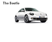 thebeetle